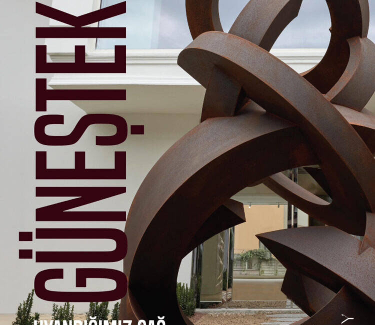 Uyandığımız Çağ